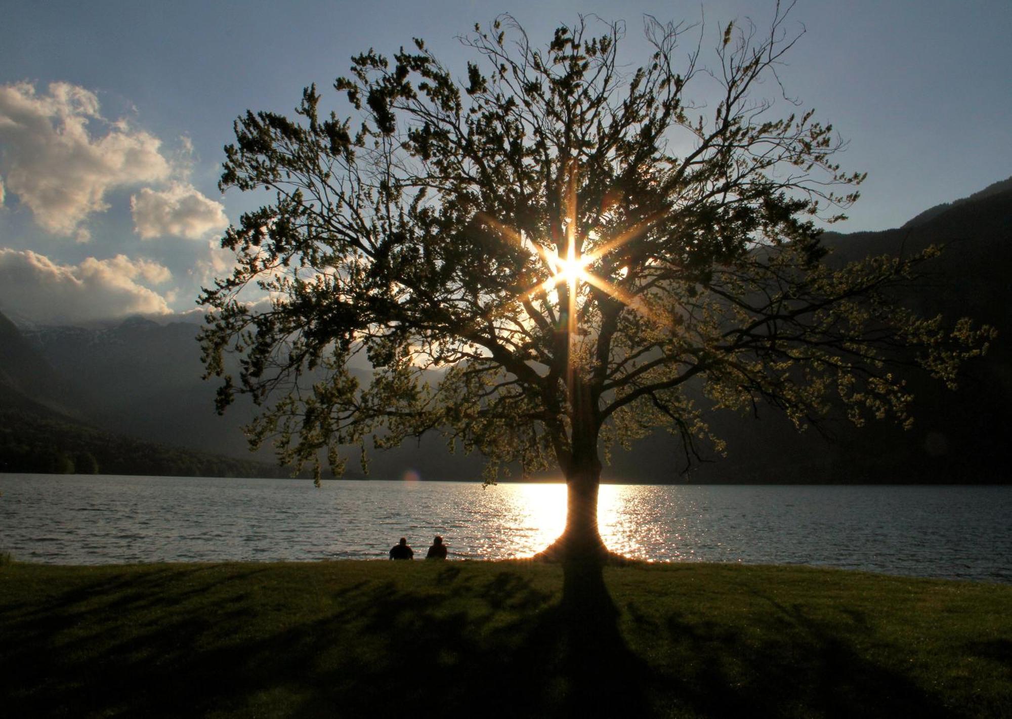 Apartments Zorc Bohinj Exteriér fotografie