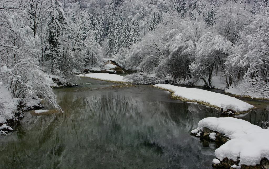 Apartments Zorc Bohinj Exteriér fotografie