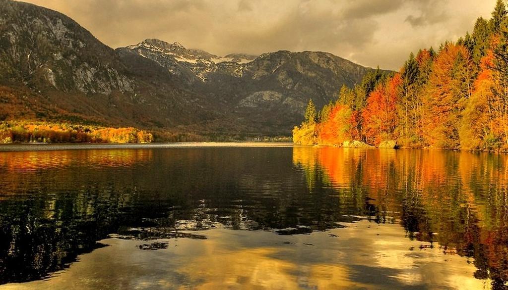 Apartments Zorc Bohinj Exteriér fotografie